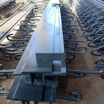 建筑变形缝装置 公路桥梁伸缩缝 日晟达多向变位