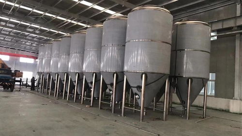 辽宁自动化精酿啤酒设备 2000升厂家直销与变形缝装置